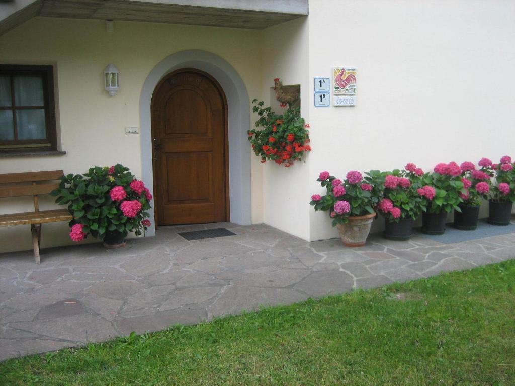 Haflingerhof Bauernhof Jenesien